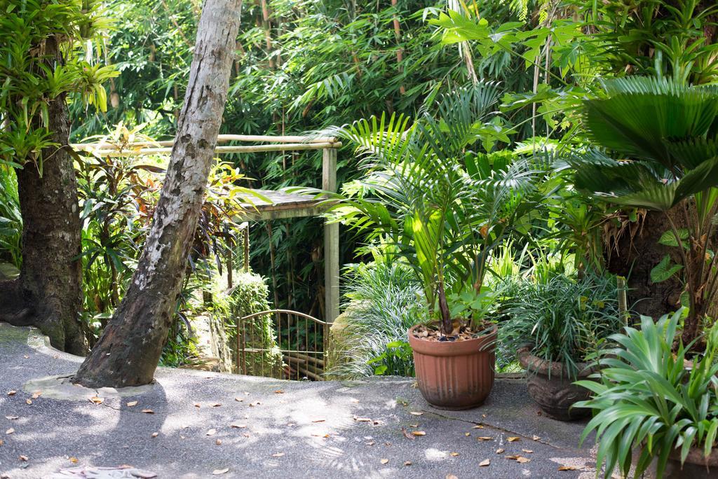 Serenity House Hotell Ubud Eksteriør bilde