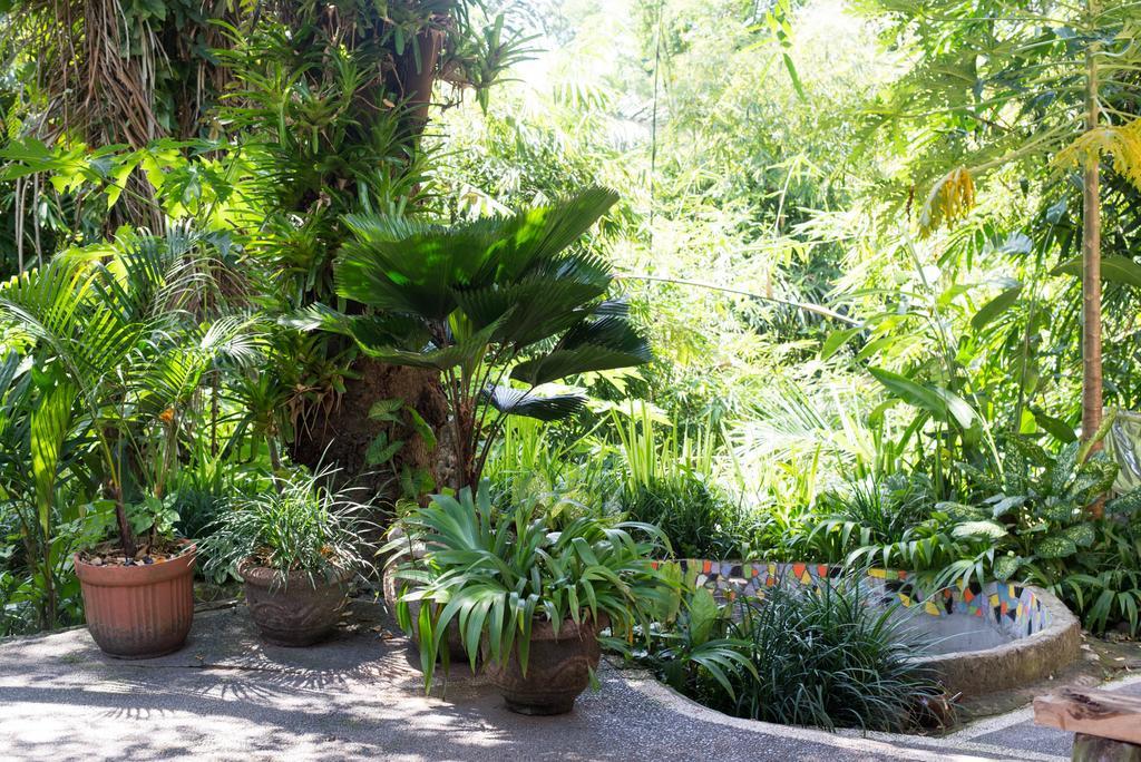 Serenity House Hotell Ubud Eksteriør bilde